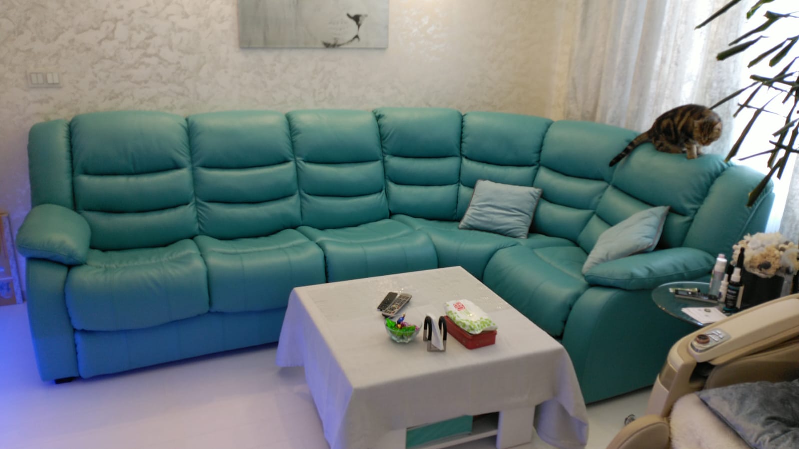 Перетяжка дивана на дому. Ботанический сад